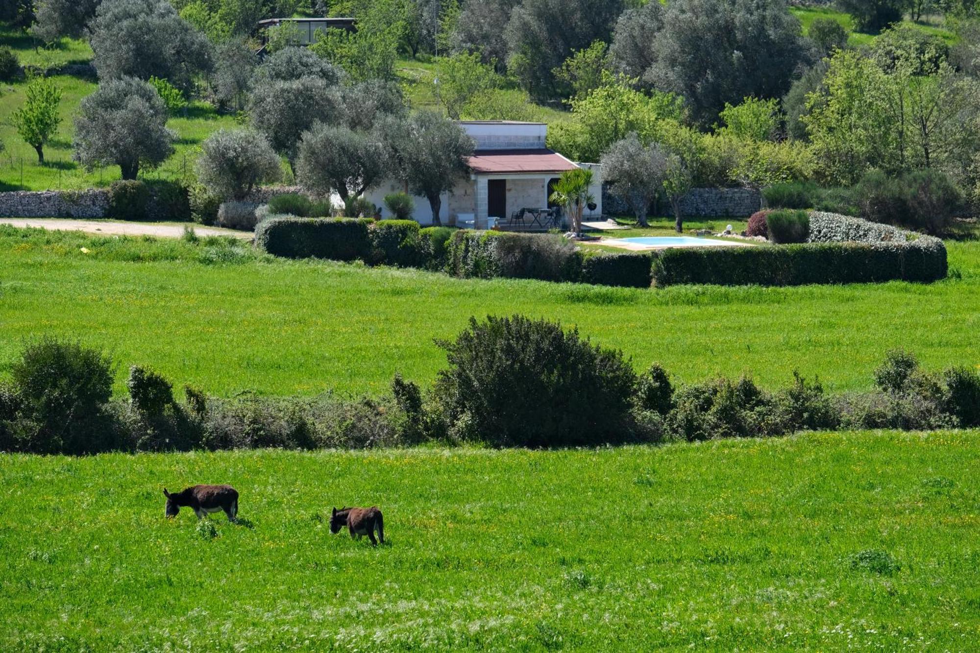 Terra Sessana Ville E Trullo Con Piscina Privata Ostuni Dış mekan fotoğraf